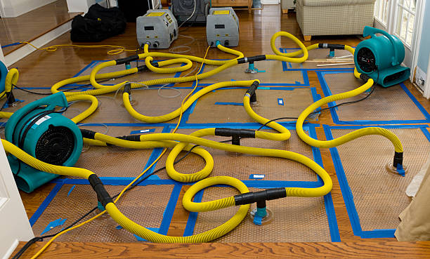 Professional Burst Pipe Water Damage technician working in Hilltop, MN